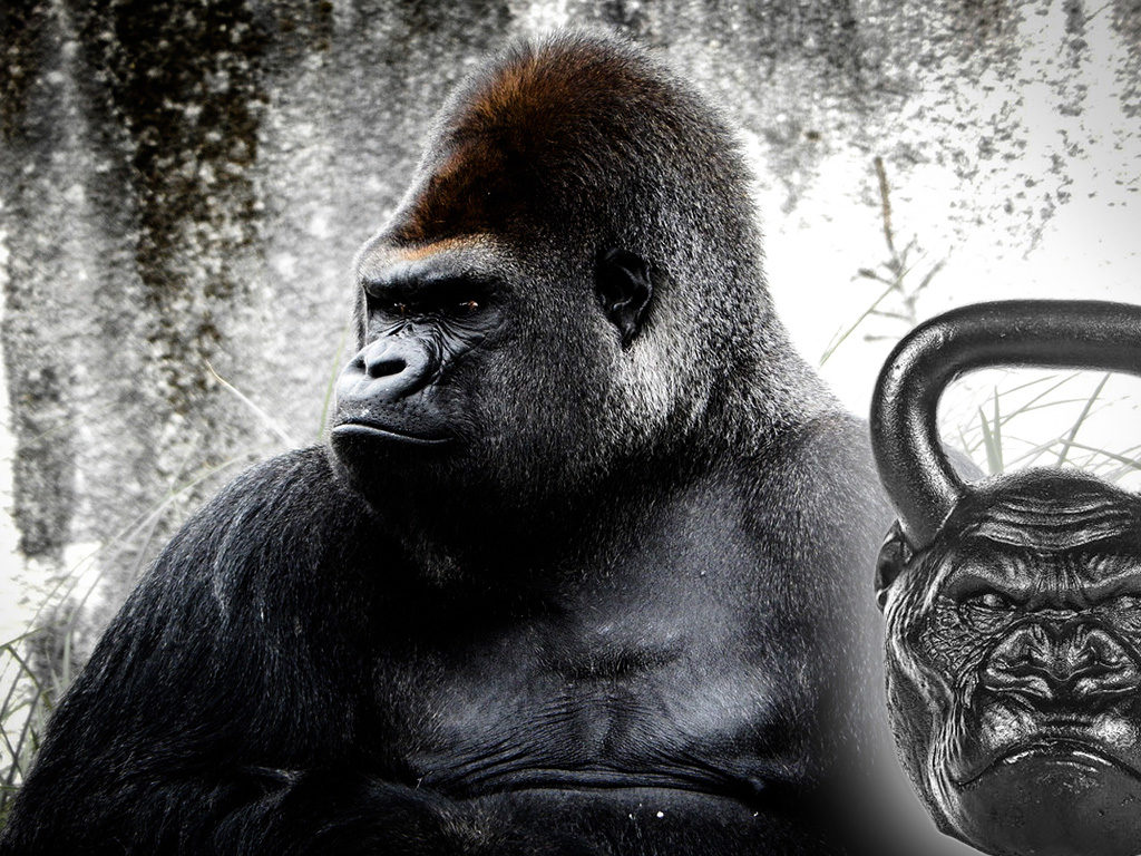 gorilla-kettlebell