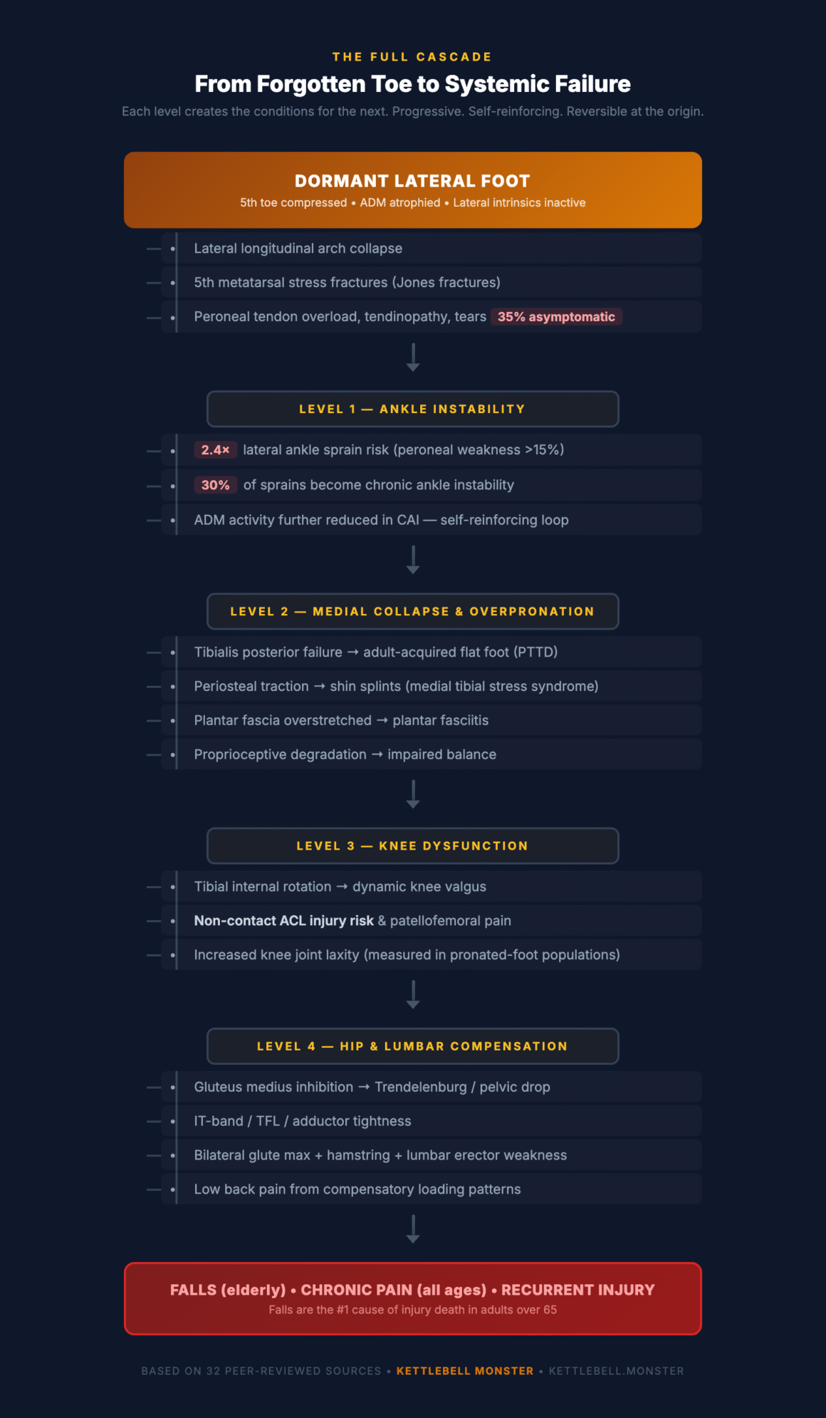 The full cascade: how a dormant lateral foot leads to ankle instability, overpronation, knee valgus, hip compensation, and falls — based on 32 peer-reviewed sources